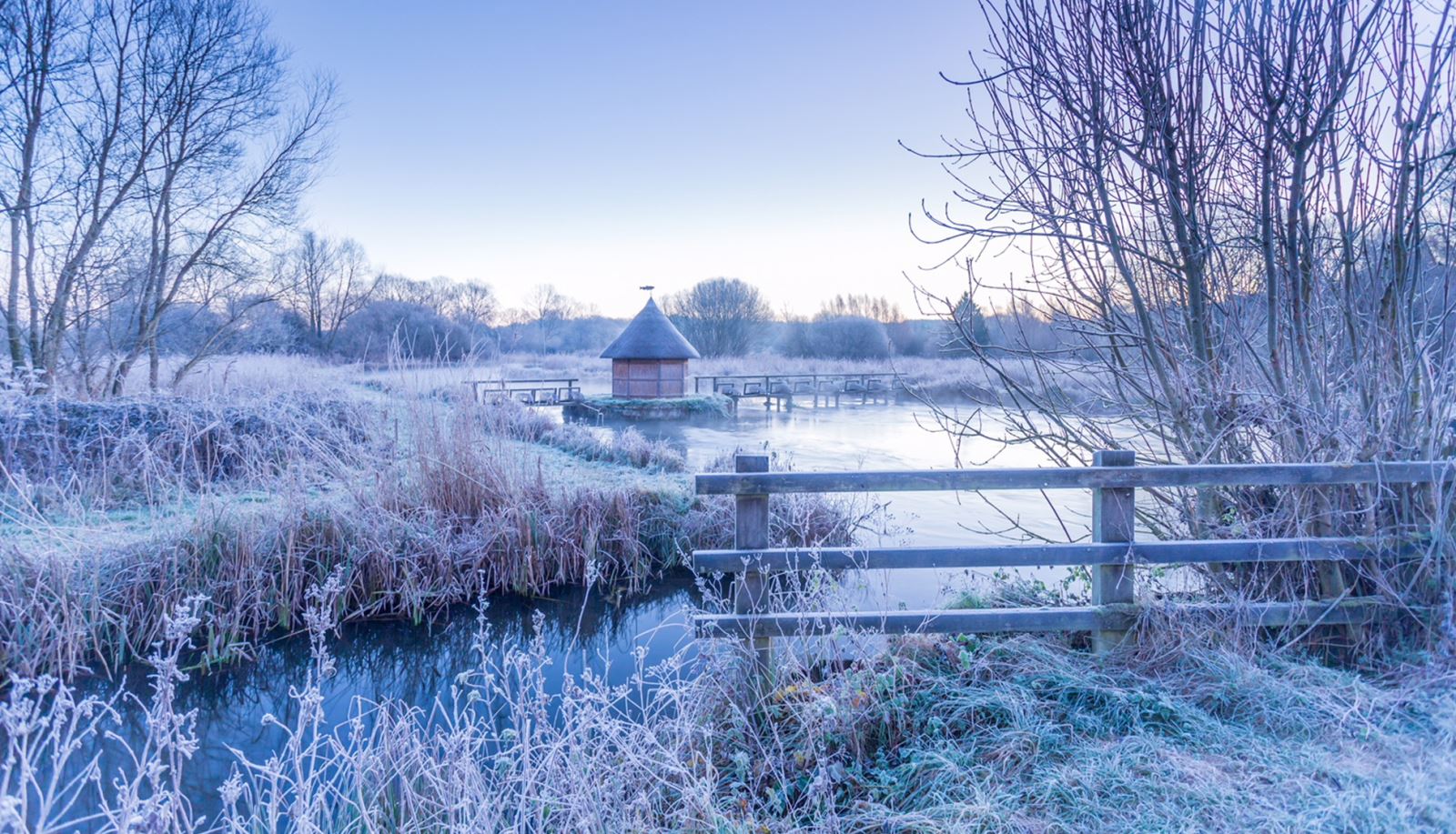 A Winters Day on The River Test